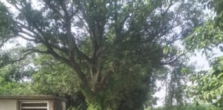 बन्नी मूलभूत सुविधाओं से जूझ रहा:सड़क, नाली, पेयजल, आवास और स्ट्रीट लाइट का अभाव; ग्रामीणों में नाराजगी