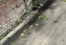 दैनिक भास्कर की खबर का असर:बढ़ैपुरवा में नालियों की सफाई शुरू, झाड़ियों की कटाई-छंटाई से लोगों को मिली राहत