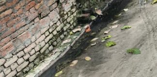 दैनिक भास्कर की खबर का असर:बढ़ैपुरवा में नालियों की सफाई शुरू, झाड़ियों की कटाई-छंटाई से लोगों को मिली राहत