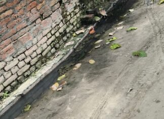 दैनिक भास्कर की खबर का असर:बढ़ैपुरवा में नालियों की सफाई शुरू, झाड़ियों की कटाई-छंटाई से लोगों को मिली राहत