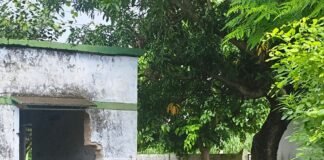 भदैया पुरवा प्राथमिक विद्यालय में गंदगी से बच्चे परेशान:अभिभावकों ने तत्काल सफाई की मांग की, अध्यापक ने नहीं दिया जवाब