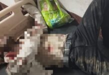बहराइच में ट्रैक्टर-ट्रॉली से भिड़ी बाइक, युवक की मौत:लकड़ी लदी ट्रैक्टर की कम रोशनी से हुआ हादसा, पुलिस कर रही कार्रवाई