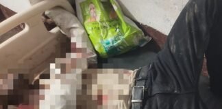 बहराइच में ट्रैक्टर-ट्रॉली से भिड़ी बाइक, युवक की मौत:लकड़ी लदी ट्रैक्टर की कम रोशनी से हुआ हादसा, पुलिस कर रही कार्रवाई