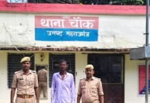 चौक पुलिस ने वारंटी को गिरफ्तार कर कोर्ट भेजा:पुलिस ने घर से दबोचा, कानूनी प्रक्रिया पूरी कर कोर्ट भेजा