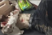 बहराइच में लकड़ी से लदी ट्रैक्टर-ट्रॉली ने बाइक को मारी टक्कर, युवक की मौत