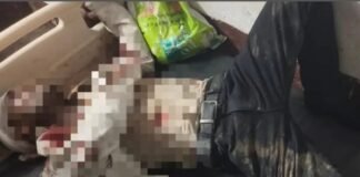 बहराइच में लकड़ी से लदी ट्रैक्टर-ट्रॉली ने बाइक को मारी टक्कर, युवक की मौत