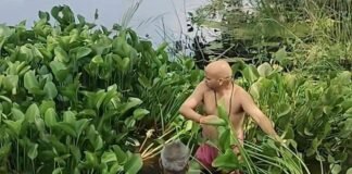 चन्द्रमणि पाण्डेय के नेतृत्व में मनोरमा घाट पर सफाई अभियान:स्थानीय लोगों ने की साफ-सफाई; पाण्डेय बोले- अधिकारी मुंह मोड़ सकते हैं, हम नहीं