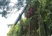 NH-27 पर पेड़ों की छंटाई शुरू:रेड़वल के पास हाईवे पर वाहन चालकों की सुरक्षा के लिए हो रही कटाई