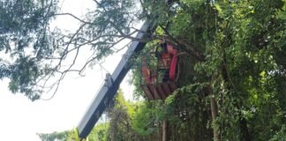 NH-27 पर पेड़ों की छंटाई शुरू:रेड़वल के पास हाईवे पर वाहन चालकों की सुरक्षा के लिए हो रही कटाई