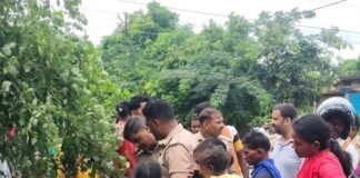राम-जानकी मार्ग पर ऑटो पलटा, आधा दर्जन घायल:बस्ती के दुबौलिया में अमानीगंज के सामने हुआ हादसा, लालगंज के निवासी