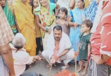 एचटी लाइन से झुलसकर बंदर की मौत:महराजगंज के पिपरा खादर में ग्रामीणों ने हिंदू रीति-रिवाज से किया अंतिम संस्कार