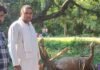 बिजली की चपेट में आई भैंस की मौत:परिवार पर टूटा दुखों का पहाड़, सरकारी मदद से नुकसान की भरपाई की उम्मीद