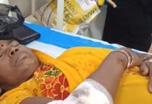 धनी ढाला के पास ऑटो पलटने से महिला गंभीर घायल:जिला अस्पताल में चल रहा इलाज, हालत गंभीर