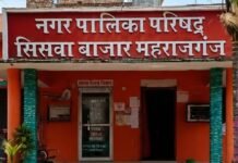 सिसवा नगरपालिका का मेगा प्लान: जानिए कैसे बदलेगी तस्वीर:स्मार्ट प्रशासन से वैश्विक बाजार तक मेगा प्लान; 17 करोड़ से सिसवा में विकास की नई इबारत लिखने की तैयारी