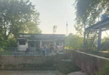कपूरपुर रजवाहा नहर पर अवैध तरीके से मछली का शिकार:सिंचाई विभाग की लापरवाही, नाबालिग बच्चे जान जोखिम में डालकर पकड़ रहे मछली