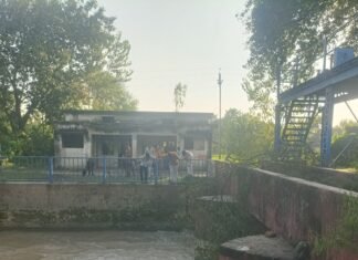 कपूरपुर रजवाहा नहर पर अवैध तरीके से मछली का शिकार:सिंचाई विभाग की लापरवाही, नाबालिग बच्चे जान जोखिम में डालकर पकड़ रहे मछली