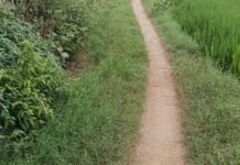 बाबा भैरवनाथ मंदिर मार्ग जर्जर:बारिश में रास्ता और खराब, श्रद्धालु परेशान; ग्रामीणों ने आंदोलन की चेतावनी दी