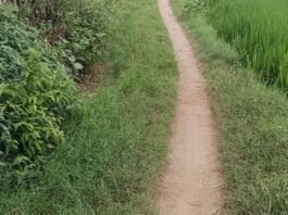बाबा भैरवनाथ मंदिर मार्ग जर्जर:बारिश में रास्ता और खराब, श्रद्धालु परेशान; ग्रामीणों ने आंदोलन की चेतावनी दी