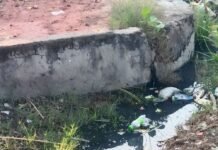 नाली की गंदगी से ग्रामीण परेशान:संक्रामक बीमारियों का खतरा बढ़ा, विश्वकर्मा पूजा से पहले सफाई की मांग