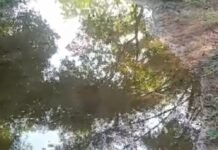 सरयू नहर की शाखा में ओवरफ्लो से रास्ता डूबा:भटपुरवा खुर्द गांव में ग्रामीणों को आवाजाही में परेशानी, फसलें भी खराब