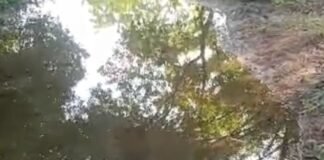सरयू नहर की शाखा में ओवरफ्लो से रास्ता डूबा:भटपुरवा खुर्द गांव में ग्रामीणों को आवाजाही में परेशानी, फसलें भी खराब