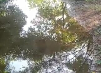 सरयू नहर की शाखा में ओवरफ्लो से रास्ता डूबा:भटपुरवा खुर्द गांव में ग्रामीणों को आवाजाही में परेशानी, फसलें भी खराब