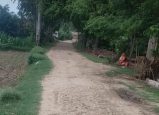पाइपलाइन बिछाने से सड़क जर्जर:दीकौली में लोगों का आवागमन प्रभावित, बारिश में कीचड़ से परेशानी