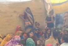 जमुनहा में खेत देखने गए युवक को सांप ने काटा:बहराइच के निजी अस्पताल में इलाज के दौरान मौत