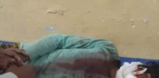तेंदुए ने 12 साल के बच्चे पर किया हमला:ललतूपुरवा में बच्चा गंभीर घायल, महिला पर हमले की वन विभाग ने नहीं की पुष्टि