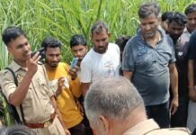 बस्ती में नीलगाय के हमले में पूर्व प्रधान की मौत:गन्ने के खेत से देखने गए थे, मौके पर ही तोड़ा दम