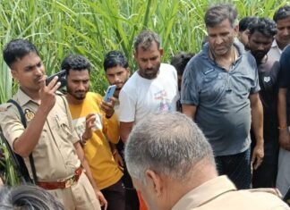 बस्ती में नीलगाय के हमले में पूर्व प्रधान की मौत:गन्ने के खेत से देखने गए थे, मौके पर ही तोड़ा दम