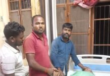 निषादनगर में जहरीले सांप ने बालिका को काटा:प्रधान प्रतिनिधि ने सीएचसी पहुंचाया, डॉक्टर राम पाल सिंह ने किया उपचार