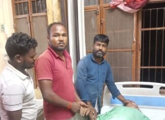 निषादनगर में जहरीले सांप ने बालिका को काटा:प्रधान प्रतिनिधि ने सीएचसी पहुंचाया, डॉक्टर राम पाल सिंह ने किया उपचार