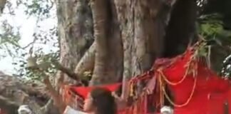 दुबौलिया में हरतालिका तीज पर शिव-पार्वती की पूजा:महिलाओं ने अखंड सौभाग्य के लिए रखा निर्जला व्रत, घाटों पर उमड़ी भीड़