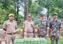 भारत-नेपाल सीमा पर 47 पैकेट हुक्का मसाला बरामद:निचलौल में पिलर संख्या 498 के पास SSB-पुलिस की संयुक्त कार्रवाई