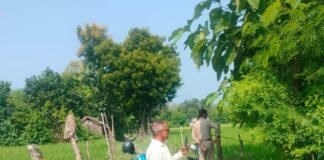 शंकरपुर में खेत से शीशम-गूलर के पेड़ चोरी:मालिक की शिकायत पर छावनी थाने में मुकदमा दर्ज, पुलिस जांच में जुटी