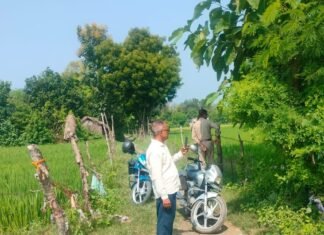 शंकरपुर में खेत से शीशम-गूलर के पेड़ चोरी:मालिक की शिकायत पर छावनी थाने में मुकदमा दर्ज, पुलिस जांच में जुटी