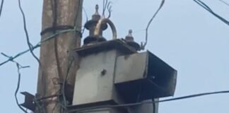 कठार जंगल में ट्रांसफार्मर खराब, 20 घरों की बिजली गुल:गर्मी और पढ़ाई में दिक्कत, ग्रामीणों ने जल्द ठीक करने की मांग की, विभाग ने दिया आश्वासन