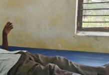 लालगंज में घास काटते समय बुजुर्ग को लगा करंट:गंभीर रूप से झुलसे, कैली अस्पताल रेफर