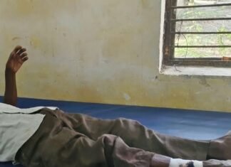 लालगंज में घास काटते समय बुजुर्ग को लगा करंट:गंभीर रूप से झुलसे, कैली अस्पताल रेफर