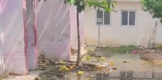 गिलौला सीएचसी में प्रसव कक्ष के बाहर पानी जमा:बदबू से मरीज और तीमारदार परेशान; अधीक्षक बोले- जल्द होगी सफाई