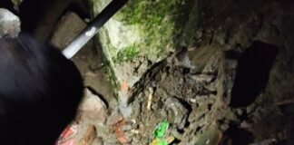 घर में घुसा जहरीला सांप, तीन घंटे चला रेस्क्यू:पकड़ में नहीं आया तो गांव में दहशत