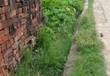 भारी में नालियां जाम, जल निकासी ठप:लंबे समय से सफाई न होने से गंदगी और झाड़ियों से पटी, बीमारियों का खतरा बढ़ा