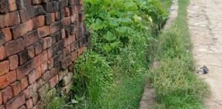 भारी में नालियां जाम, जल निकासी ठप:लंबे समय से सफाई न होने से गंदगी और झाड़ियों से पटी, बीमारियों का खतरा बढ़ा
