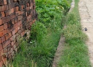 भारी में नालियां जाम, जल निकासी ठप:लंबे समय से सफाई न होने से गंदगी और झाड़ियों से पटी, बीमारियों का खतरा बढ़ा