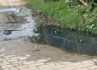 इकौना के किडिहौना में जलभराव से ग्रामीण परेशान:निकासी न होने से गंदगी और दुर्गंध, बच्चों को भी आने-जाने में दिक्कत