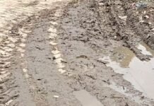 दत्तनगर में जलभराव और कीचड़ से लोग परेशान:नालियां न होने से घरों का गंदा पानी सड़क पर फैला, बच्चों-बुजुर्गों को निकलने में दिक्कत