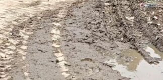 दत्तनगर में जलभराव और कीचड़ से लोग परेशान:नालियां न होने से घरों का गंदा पानी सड़क पर फैला, बच्चों-बुजुर्गों को निकलने में दिक्कत
