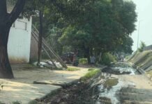 तेनुआ ओवरब्रिज सर्विस लेन पर NHAI की लापरवाही:मरम्मत के नाम पर खोदे गड्ढे, कई महीनों से नहीं हुई ठीक; हादसे और बीमारी का खतरा