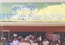 निराश्रित महिला पेंशन की समस्याओं के लिए कैंप:नगर पंचायत कार्यालय में लगा, अध्यक्ष प्रतिनिधि भी पहुंचे मदद को